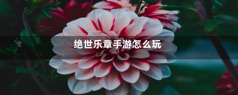 绝世乐章手游怎么玩