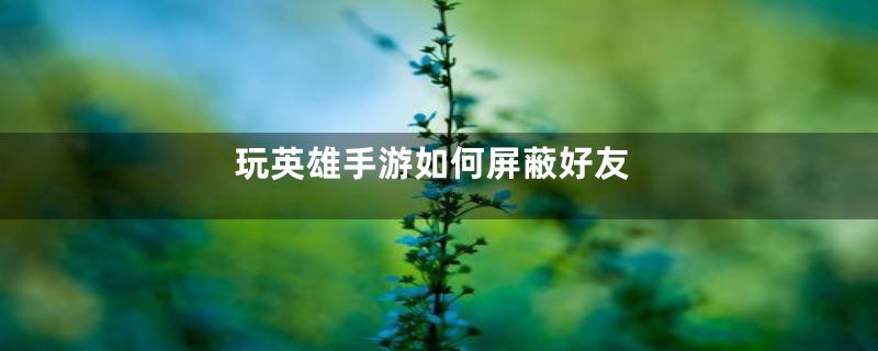 玩英雄手游如何屏蔽好友