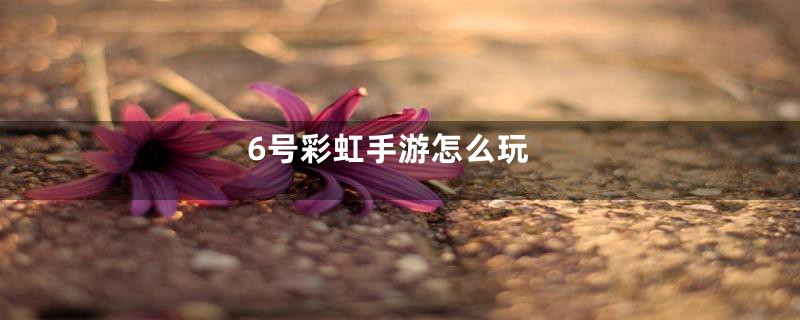 6号彩虹手游怎么玩