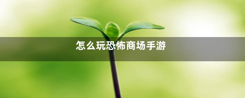 怎么玩恐怖商场手游