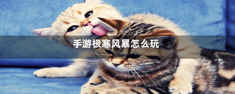 手游极寒风暴怎么玩