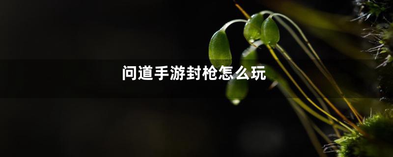 问道手游封枪怎么玩