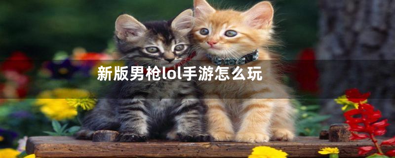 新版男枪lol手游怎么玩