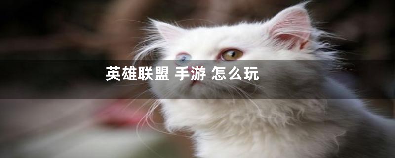 英雄联盟 手游 怎么玩