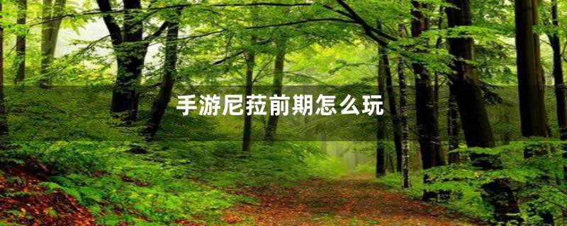 手游尼菈前期怎么玩