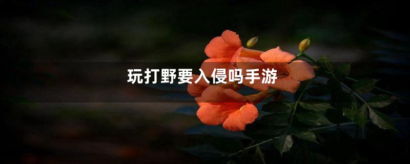 玩打野要入侵吗手游