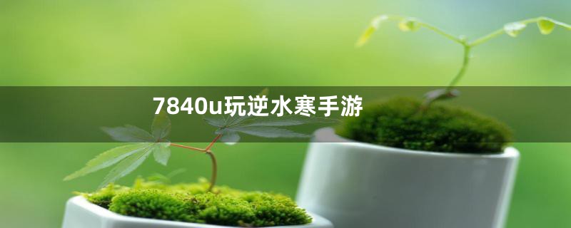 7840u玩逆水寒手游