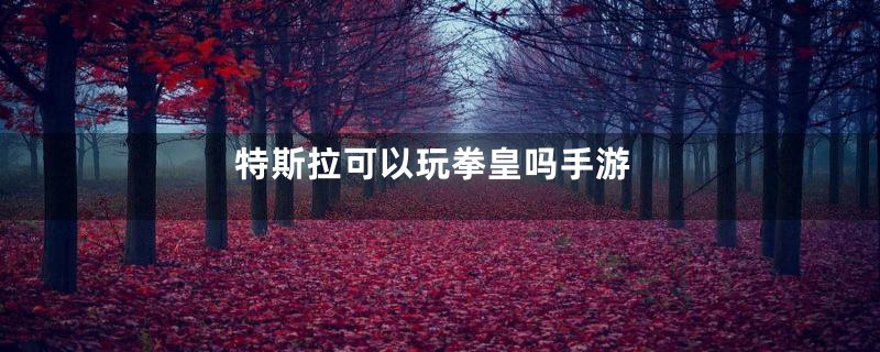 特斯拉可以玩拳皇吗手游