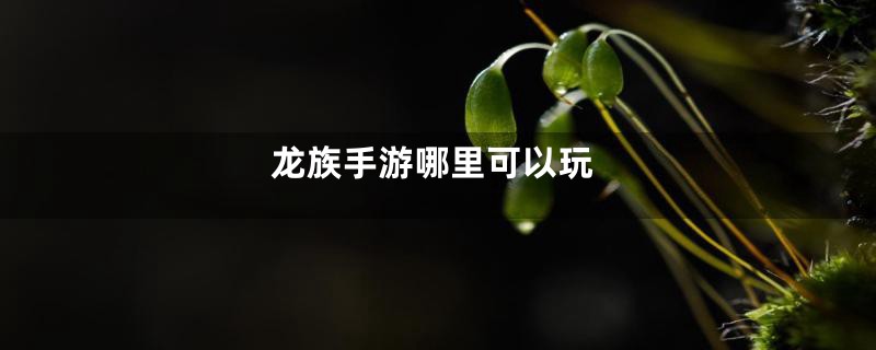 龙族手游哪里可以玩