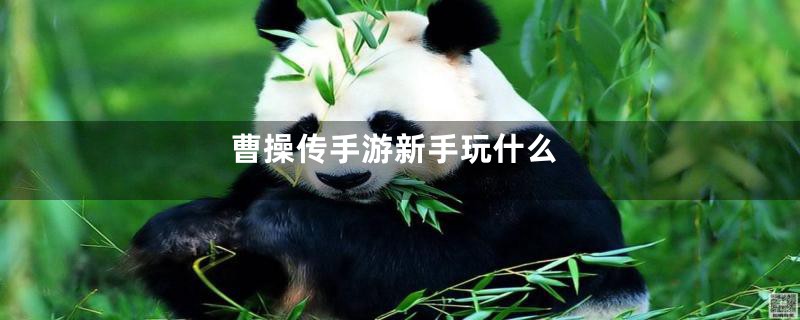 曹操传手游新手玩什么