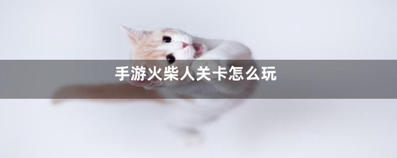 手游火柴人关卡怎么玩