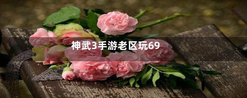 神武3手游老区玩69