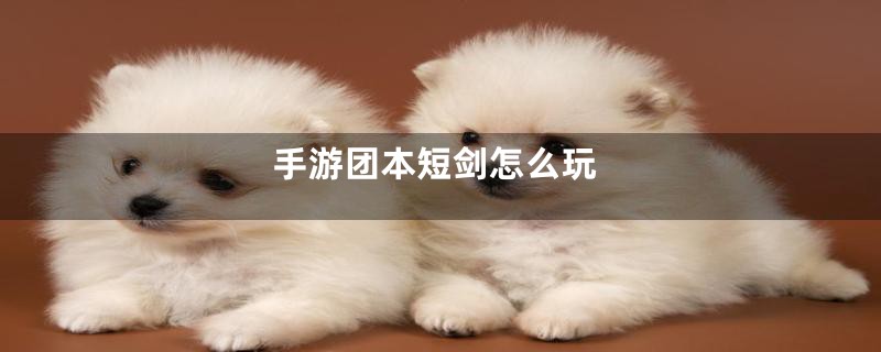 手游团本短剑怎么玩