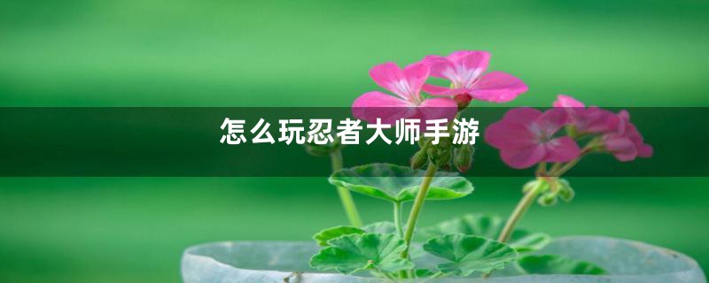 怎么玩忍者大师手游