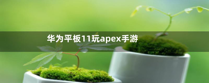 华为平板11玩apex手游