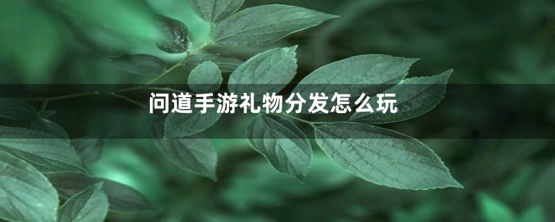 问道手游礼物分发怎么玩