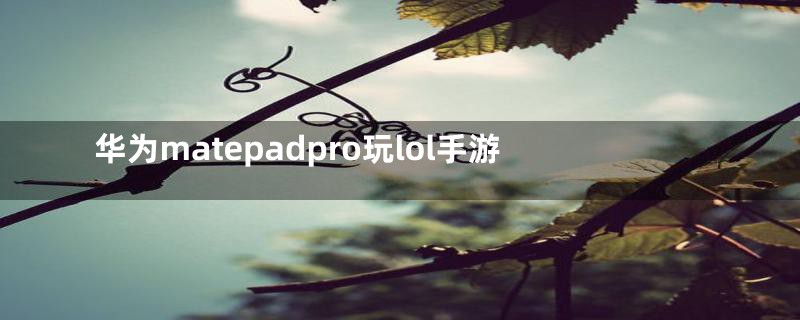 华为matepadpro玩lol手游