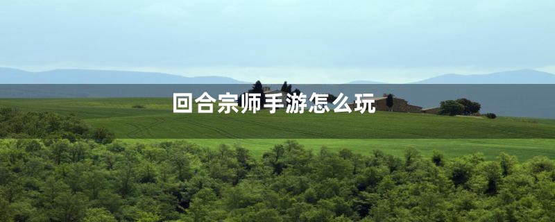 回合宗师手游怎么玩