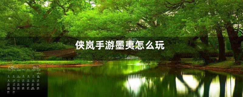 侠岚手游墨夷怎么玩