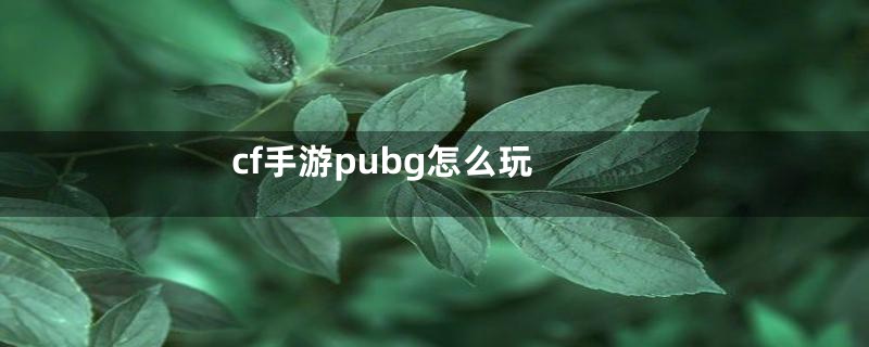 cf手游pubg怎么玩