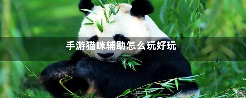 手游猫咪辅助怎么玩好玩