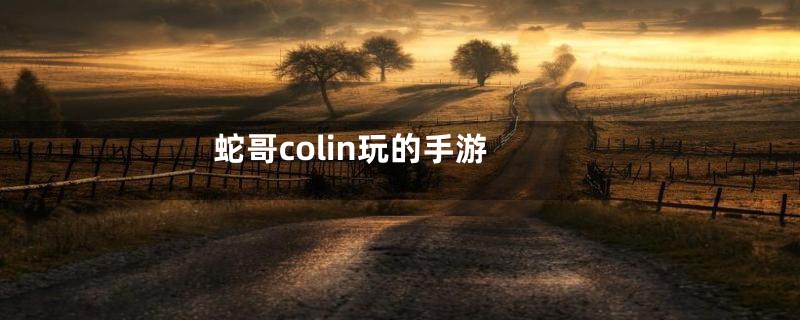 蛇哥colin玩的手游