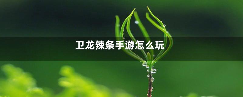 卫龙辣条手游怎么玩