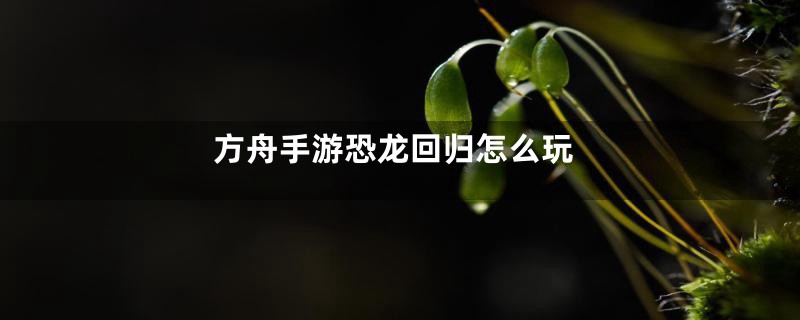 方舟手游恐龙回归怎么玩