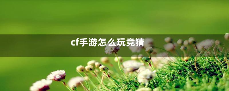 cf手游怎么玩竞猜