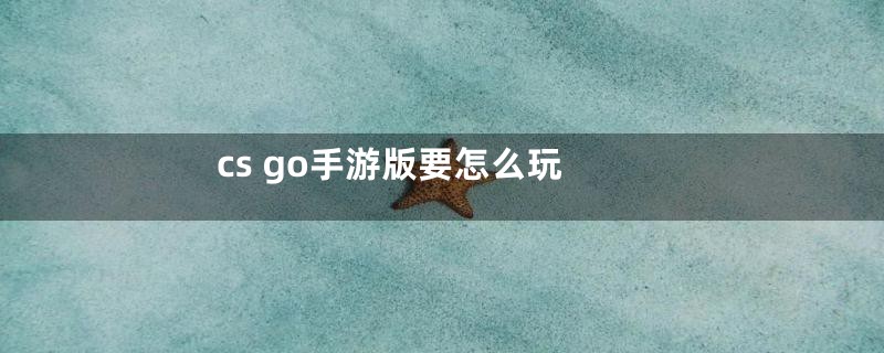 cs go手游版要怎么玩