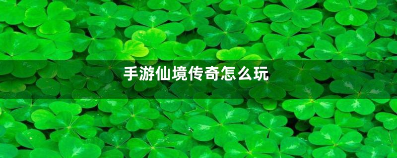 手游仙境传奇怎么玩