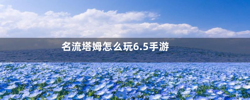 名流塔姆怎么玩6.5手游