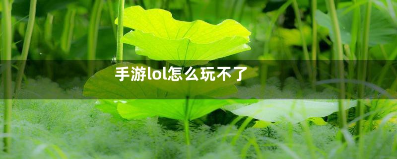 手游lol怎么玩不了