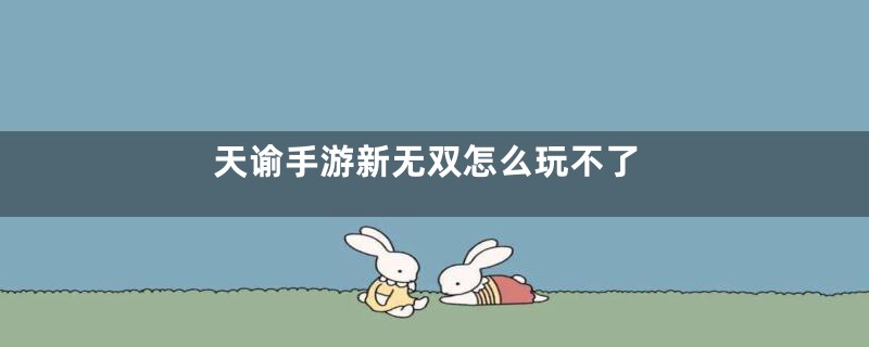 天谕手游新无双怎么玩不了