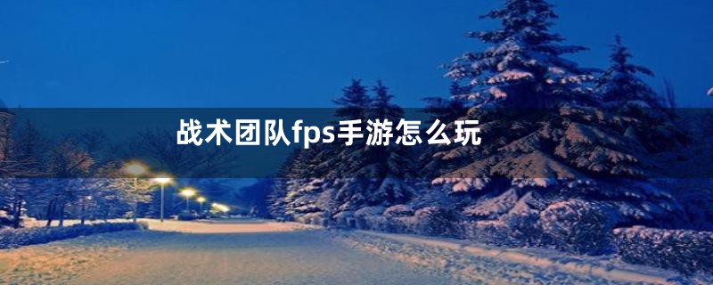 战术团队fps手游怎么玩