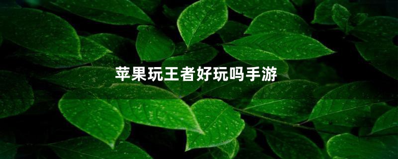 苹果玩王者好玩吗手游