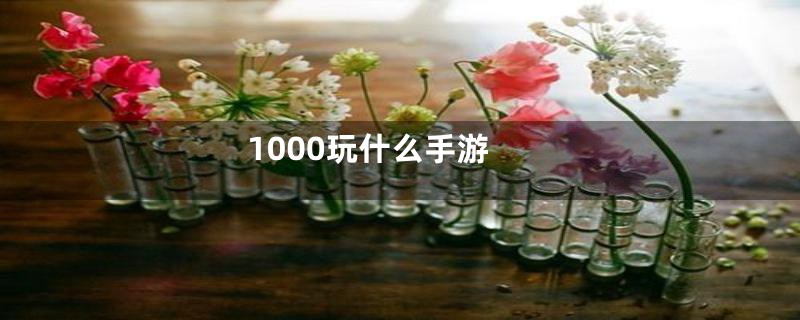 1000玩什么手游