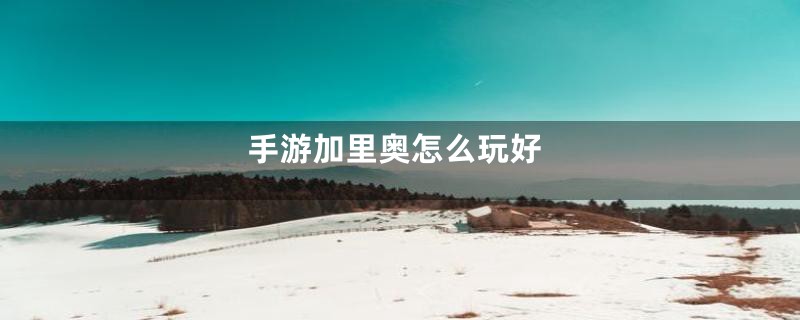 手游加里奥怎么玩好