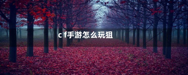 c f手游怎么玩狙