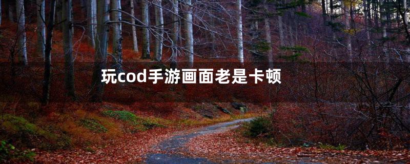 玩cod手游画面老是卡顿