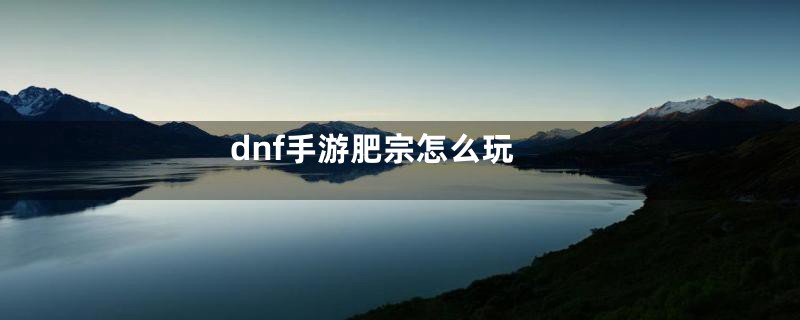 dnf手游肥宗怎么玩