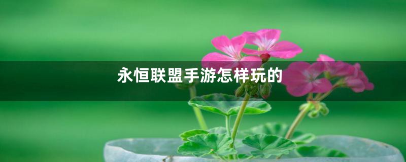 永恒联盟手游怎样玩的