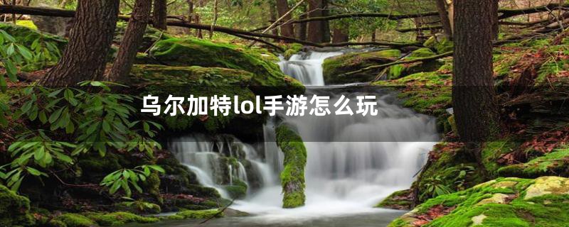 乌尔加特lol手游怎么玩