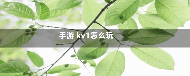 手游 kv1怎么玩