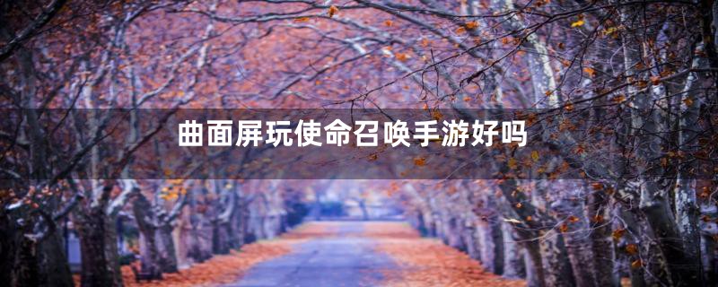 曲面屏玩使命召唤手游好吗