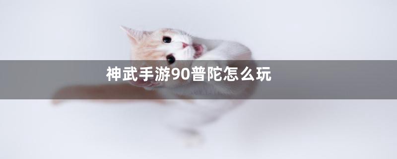 神武手游90普陀怎么玩