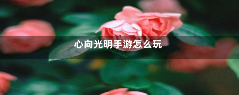 心向光明手游怎么玩