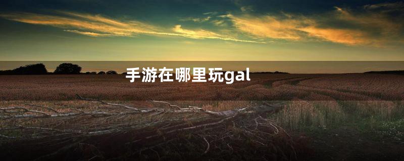 手游在哪里玩gal