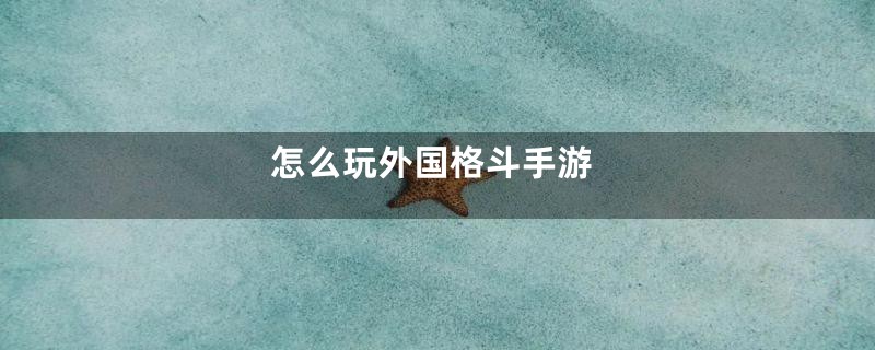 怎么玩外国格斗手游