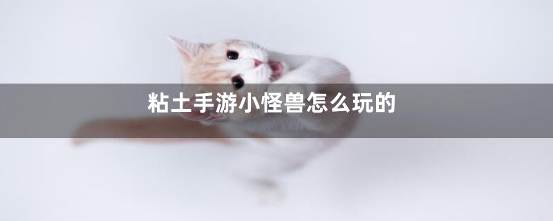 粘土手游小怪兽怎么玩的